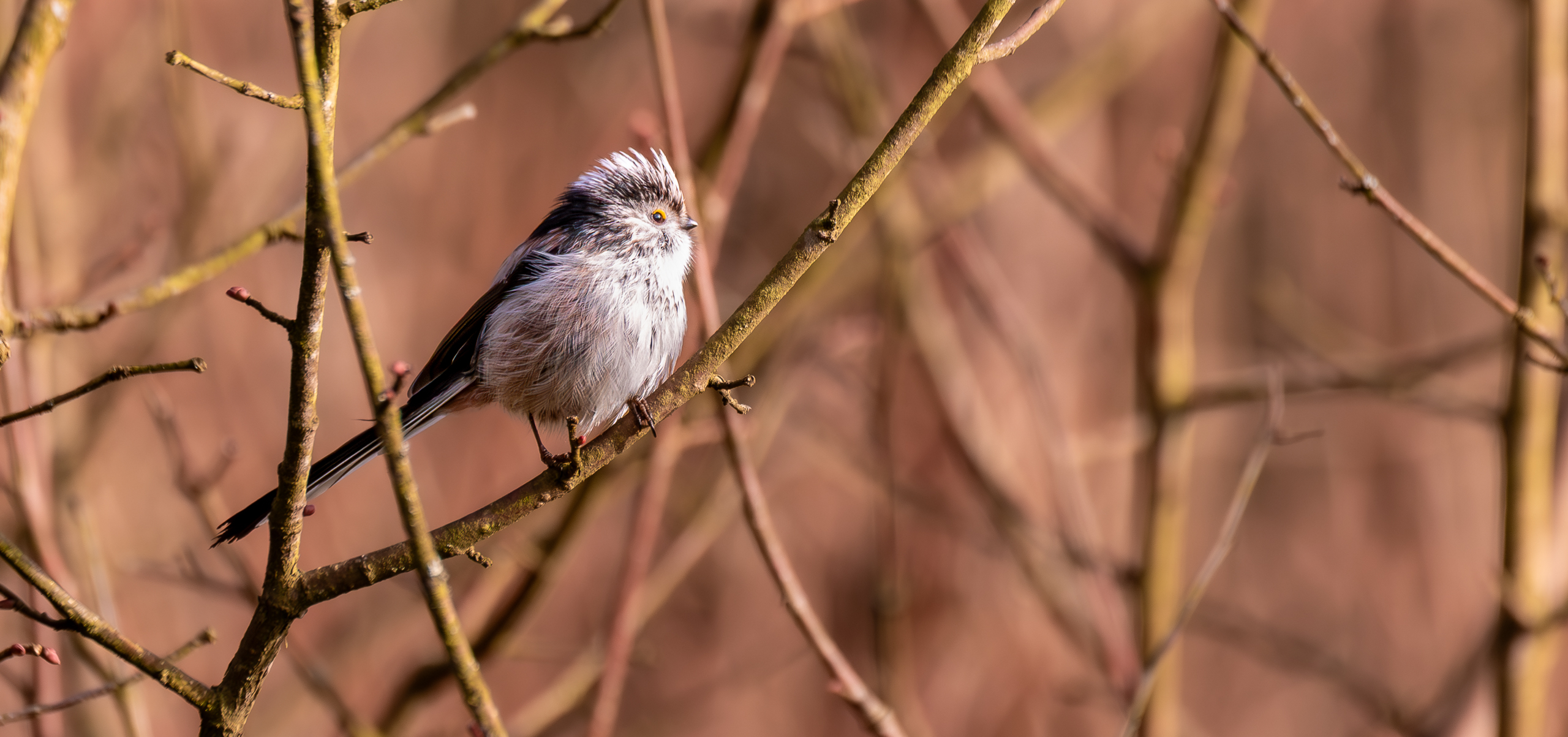 7D2_0122-Verbessert-RR