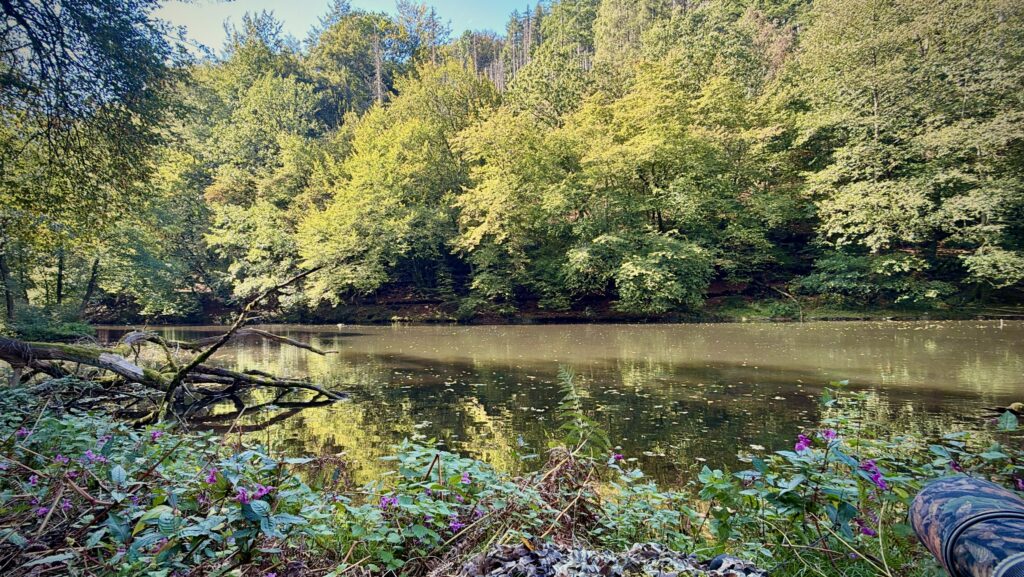 Die Wupper in Wuppertal-Beyenburg
